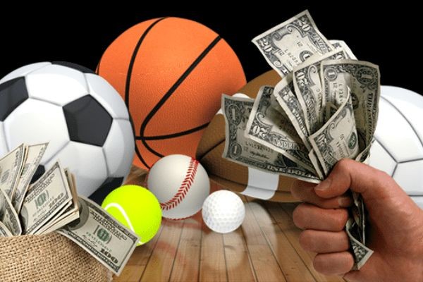 Fairdeal – Cricket Betting ID Platform with Easy Match Navigation