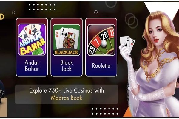 All Cricket ID – Complete Guide for Online Cricket Betting in India