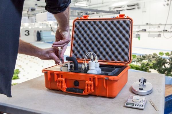 Cannabis Analyser Market Disruptions Redefine Cannabis Analysis With Emerging Lab Transformation