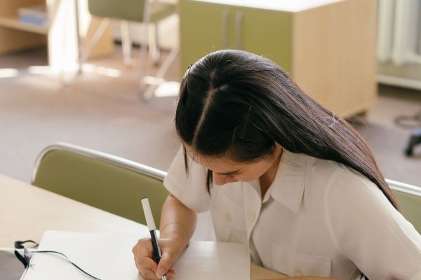 Dissertation Writing Services