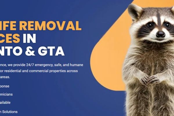 Professional Wildlife Removal Solutions for Residential Properties