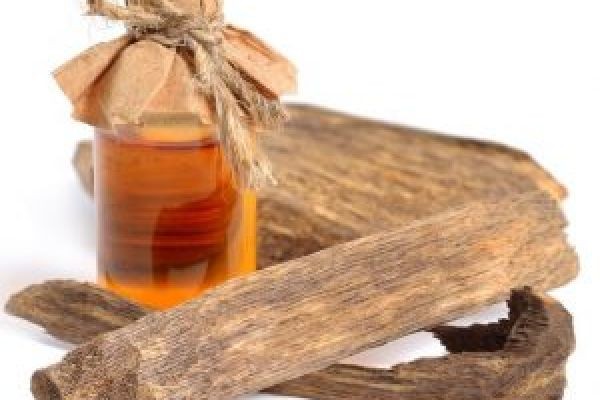 Pure Agarwood Essential Oil from Vietnam for Premium Brands