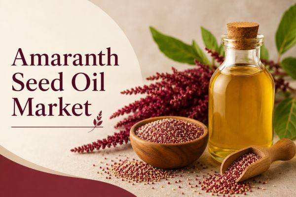 North America Amaranth Seed Oil Market Size, Regional Trends, and Forecast to 2034