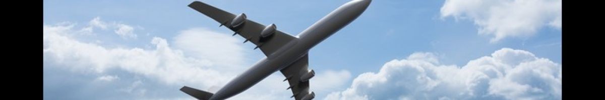 Rushmy Flight