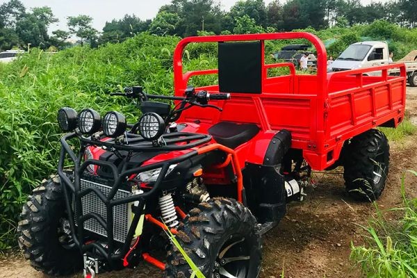 Beach Buggy Motorcycle Maintenance After Sandy Rides