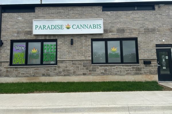 Weed Store Near Me Welland for Premium Cannabis Products - Paradise Cannabis