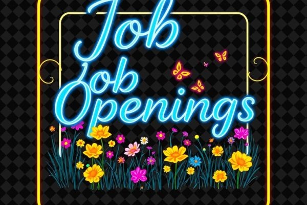 Federal Jobs No Experience: How Beginners Can Start a Government Career