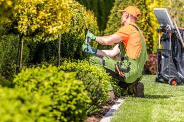 Why Hiring a Professional Landscaping Service Improves Your Property?