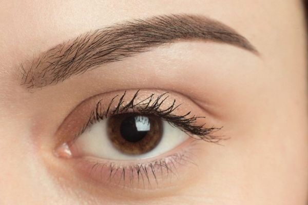 Advanced Methods for Achieving Natural Hair Direction in Eyebrow Restoration