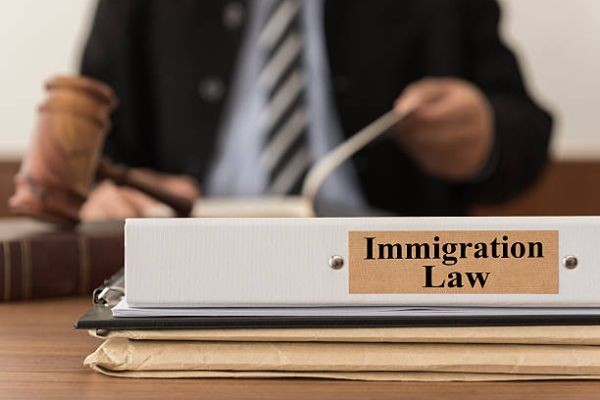How A Professional Migration Assistance Saves Time?
