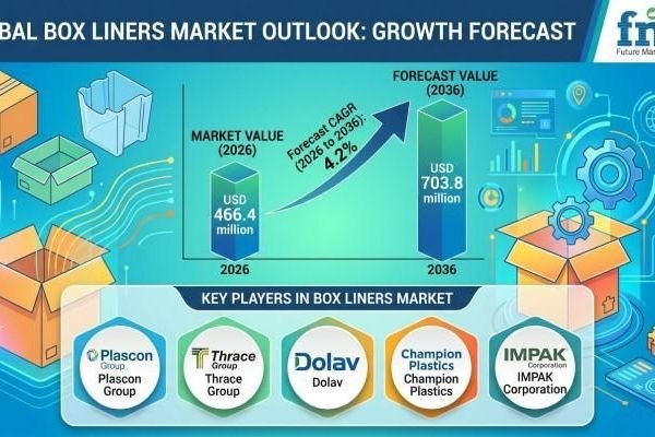 Box Liners Market Gains Momentum Through Enhanced Supply Chain Reliability