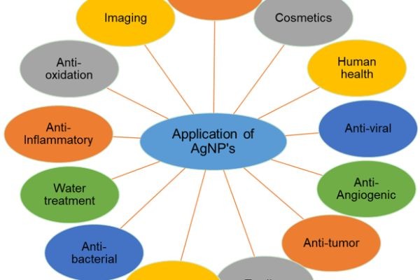 Custom Development Services for Quantum Dot Lateral Flow Assays