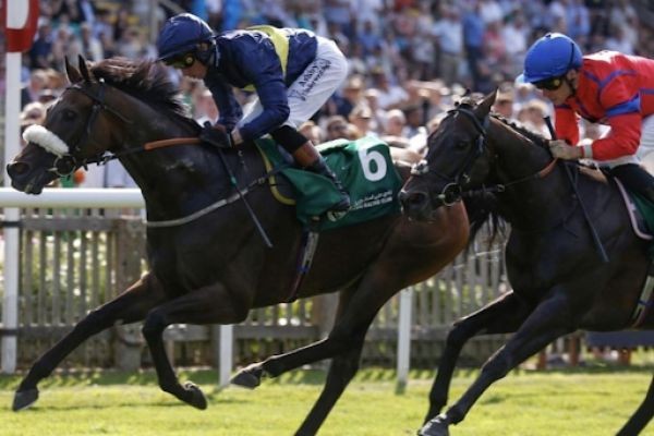 Understanding Pune Horse Race Results and Their Racing Significance