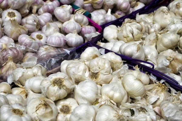 Garlic Market Winning Strategies Driving Innovation and Long-Term Business Success