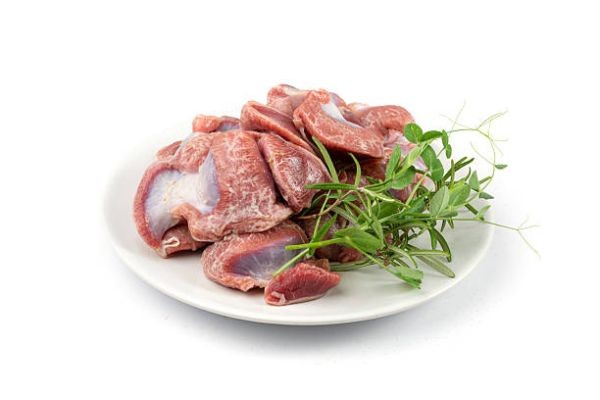 Wholesale Frozen Chicken Gizzards for Global Food Distributors and Processors - Aurora Alimentos