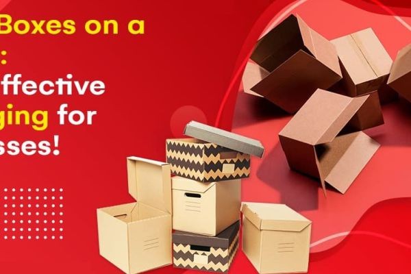 8 Unique Benefits of Mailer Boxes for Your Business