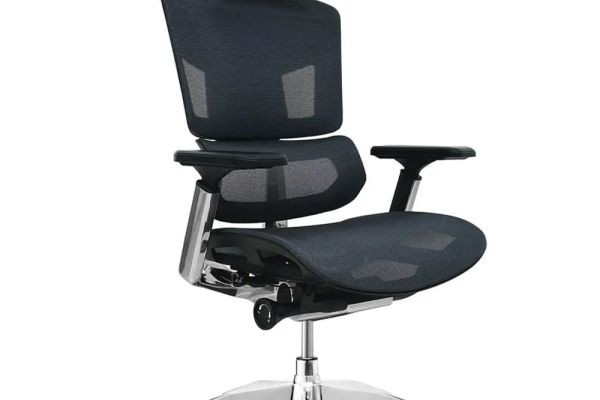 Ergoworks Vs Take a Seat: Comparing Singapore’s Popular Ergonomic Chair Retailers