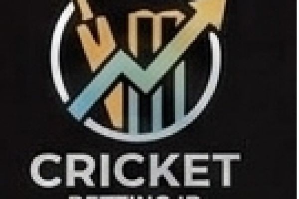 Why PlayinExch Online Exchange Is Gaining Popularity Among Sports Enthusiasts