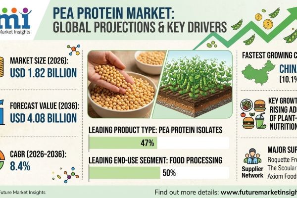 Pea Protein Market to Reach USD 4.08 Billion by 2036
