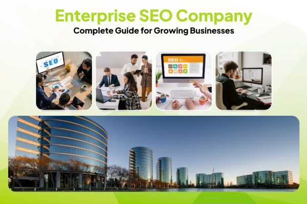 Enterprise SEO Company: How Can the Right Partner Help Your Business Grow Faster?