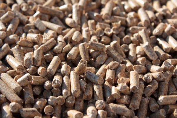 Wood Pellets Market Scenario Reflecting Renewable Energy Growth and Industry Transformation