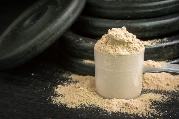 Hexane Free Protein Market Outlook Indicating Future Growth Through Sustainable Nutrition Advancement