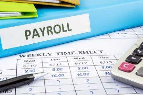 Top Benefits of Working with a Professional Payroll Services Company