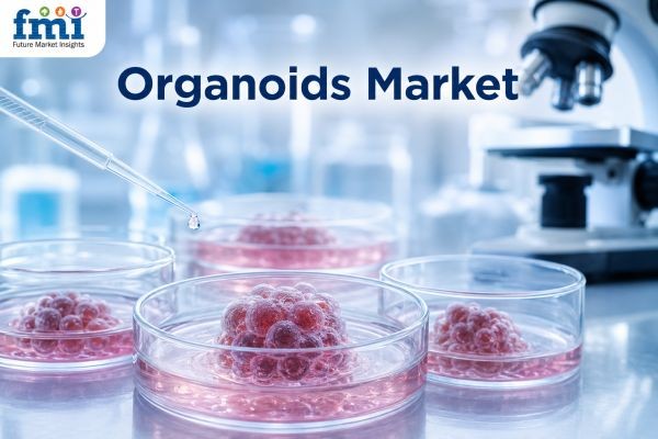 United States Drives 15.3% CAGR, Organoids Market to Reach USD 349.5 Million by 2036