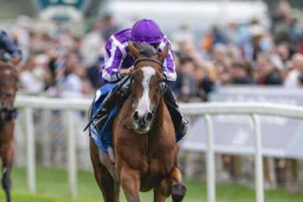 RCTC: Famous Races, Heritage, and Role in Indian Horse Racing