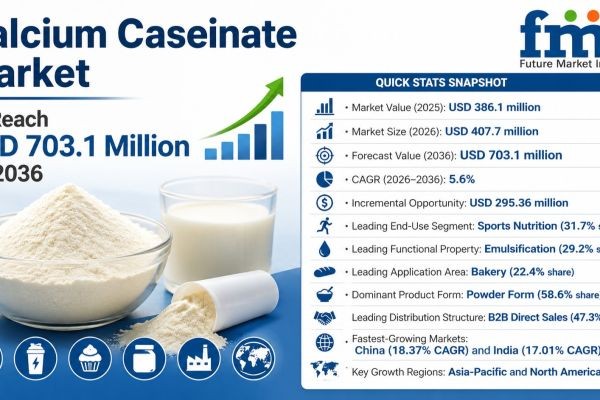 Calcium Caseinate Market to Reach USD 703.1 Million by 2036