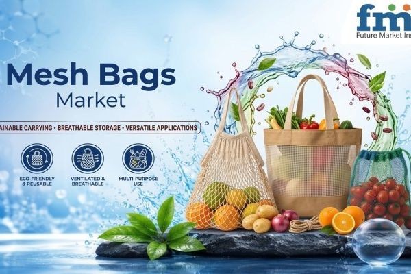 Mesh Bag Market Gains Competitive Edge Through Customized Packaging Design Innovations Globally