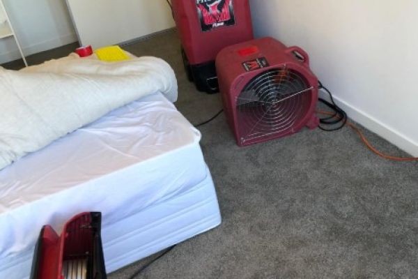 Water Damage Restoration Melbourne: What Happens During a Professional Inspection?