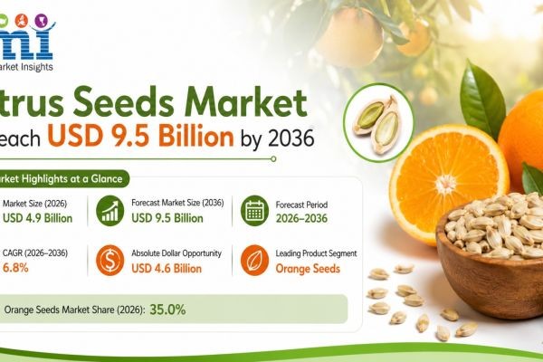Citrus Seeds Market to Reach USD 9.5 Billion by 2036