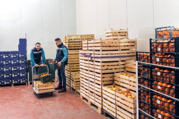 Saudi Arabia Pallet Market Analysis, Trends, Growth & Forecast 2026-2034