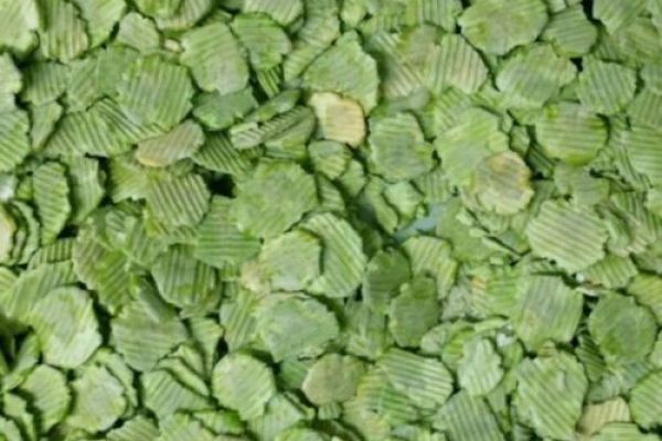 Pea Flakes Market Growth Driven by Rising Demand for Plant-Based Protein Ingredients