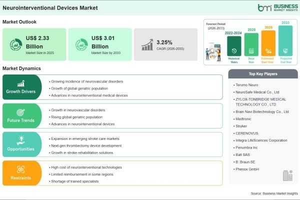 By the End of 2033, Revenue in the Neurointerventional Devices Market is Expected to Increase by 29.18% Compared to 2025