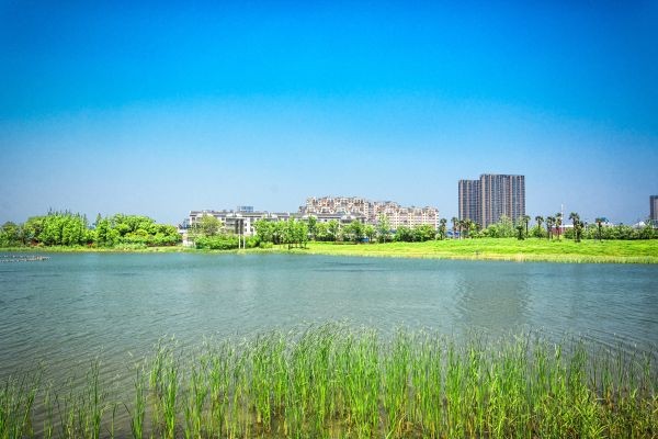 Certified Property & Land Title Translations for Legal and International Property Matters