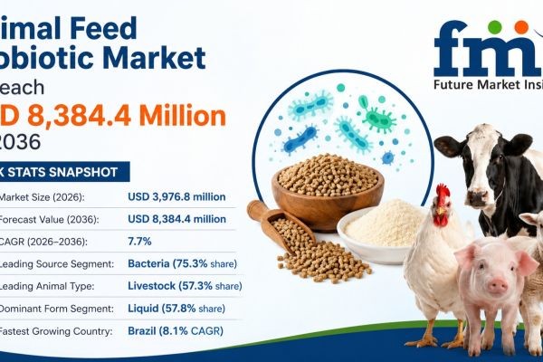 Animal Feed Probiotic Market to Cross USD 8.38 Billion by 2036