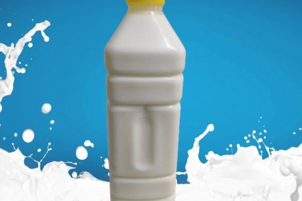 Sugar Free Natural Yogurt Dubai | Fresh A2 Yogurt | A2 Milk UAE