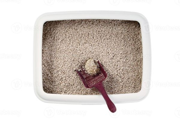Cat Litter Market Top 3 Threats Shaping Industry Growth and Competitive Landscape Worldwide