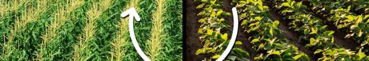 JU Agri Sciences