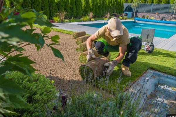 Top Benefits of Choosing a Professional Sod Installation Company