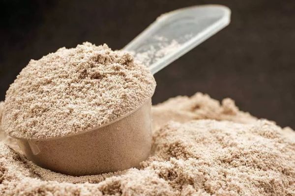 Rice Protein Market Pain Points Impacting Production, Innovation, and Global Industry Growth Strategies