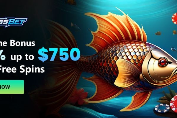 Bassbet Casino Shows How Gamified Rewards Boost Wins
