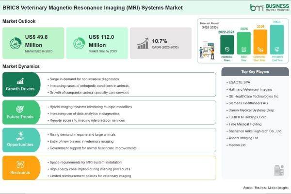 By the End of 2033, Revenue in the BRICS Veterinary Magnetic Resonance Imaging (MRI) Systems Market is Expected to Increase by 124.9%