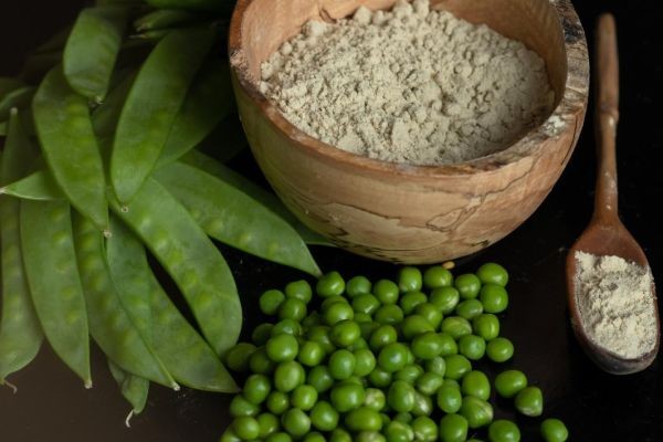 Pea Protein Market Outlook Highlighting Future Growth, Consumer Trends, and Industry Evolution