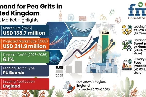 United Kingdom Pea Grits Market Set for Robust Growth as Clean-Label Protein