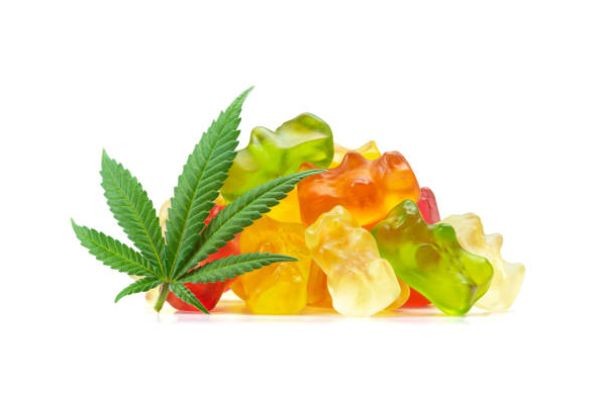 Navigating the Modern Lifestyle: What to Know Before You Order THC Vape Dubai