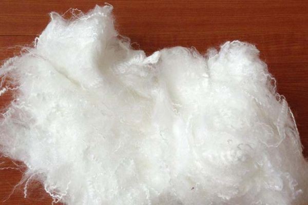 Microbial-derived Fibre Market Outlook Highlighting Future Growth Through Sustainable Material Innovation