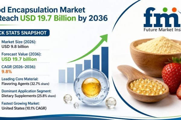 Food Encapsulation Market to Reach USD 19.9 Billion by 2036